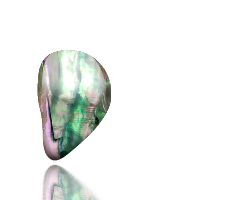white-paua