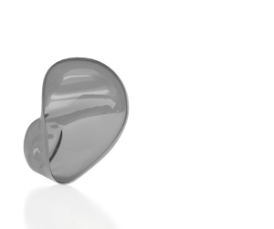Translucent Gray Shell