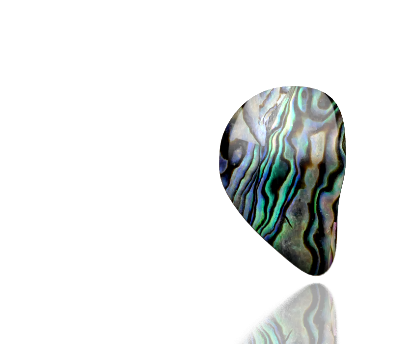 dragon-paua