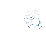 Load image into Gallery viewer, Translucent Ice Faceplate
